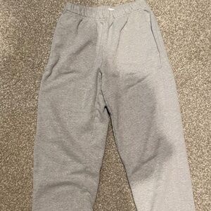 Aritzia joggers by Wilfred